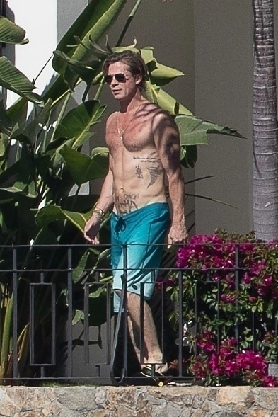 Brad Pitt And Ines De Ramon Enjoy Some Topless Sunbathing In Cabo Exam Alert 0055