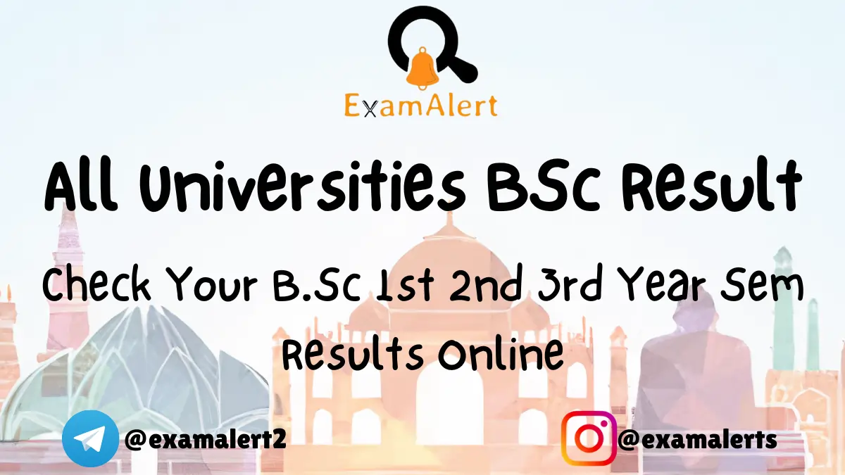 BSc Result 2024 Direct Link To Check 1st, 2nd, 3rd Year Results