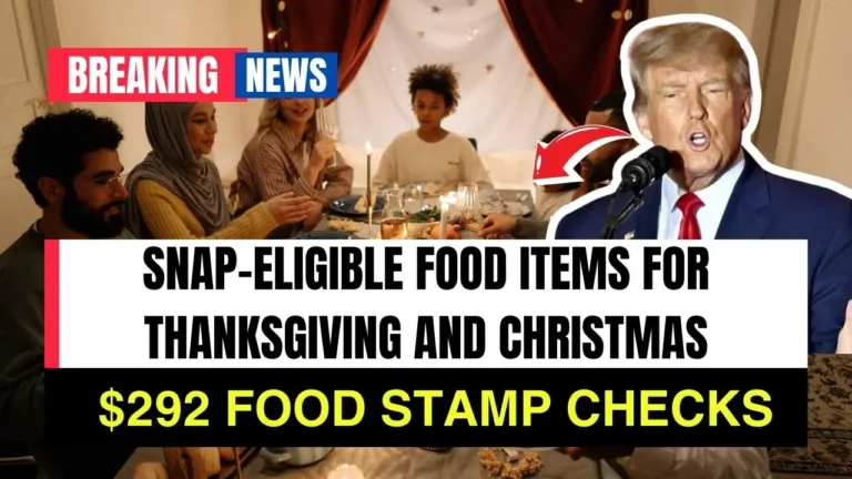 SNAP Benefits for the Holidays, $292 Food Stamp Check Shopping Ideas